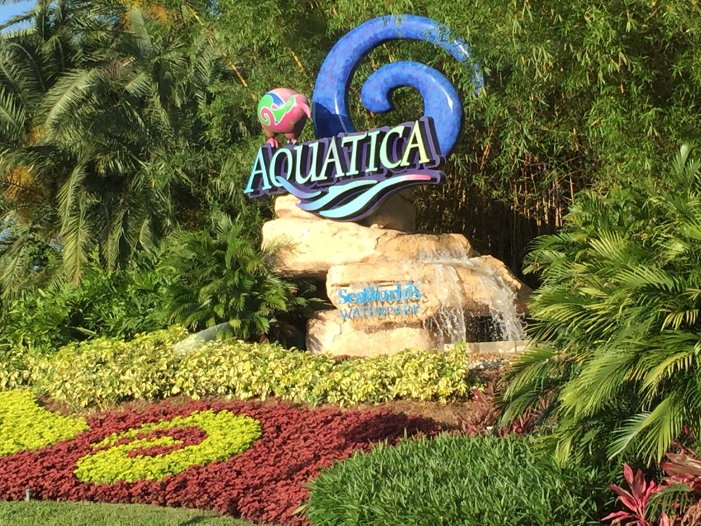 gAquatica_disney_2055